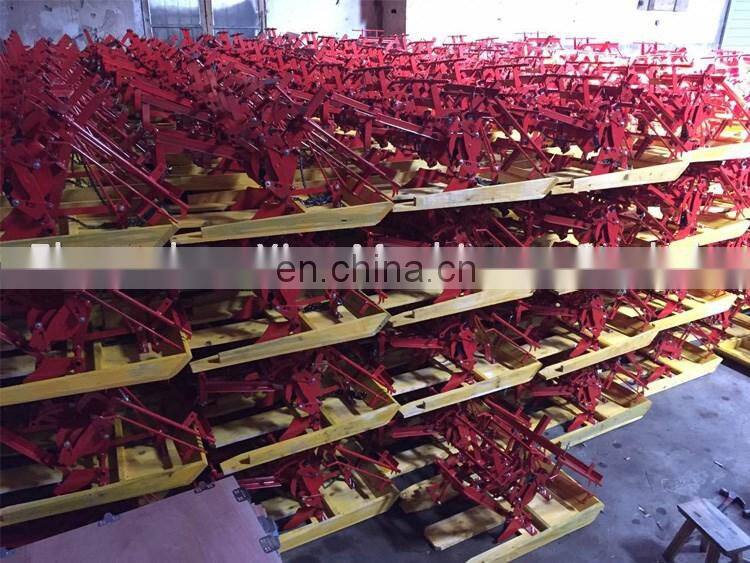 Portable Manual Thailand Rice Transplanter Sold in Malaysia