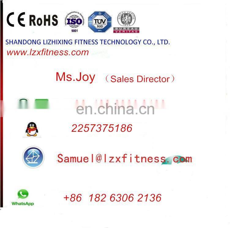 LZX-2017 gym machines/china top ten bodybuilding fitness equipment