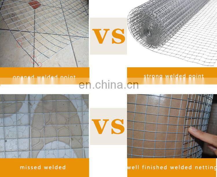 PVC Powder coated galvanized welded wire mesh For fence