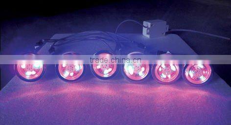 blue bubble light L-01