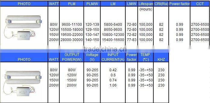plant induction lamp 300w