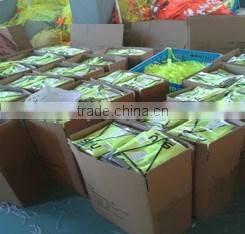 EN1150 colorful high visibility fluorescence Kid vest clothing children reflective clothing