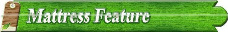 bedroom furniture fiber natural coconut palm mattress