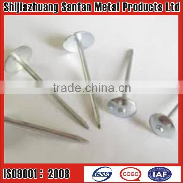 flat head roofing nails