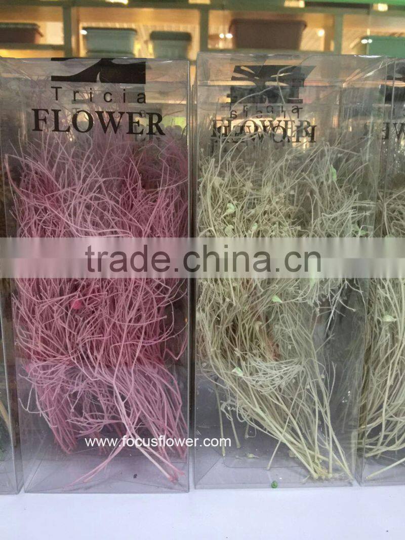 Aibaba Com Dried Flowers Wholesale Pink Gypsophila With Good Smell