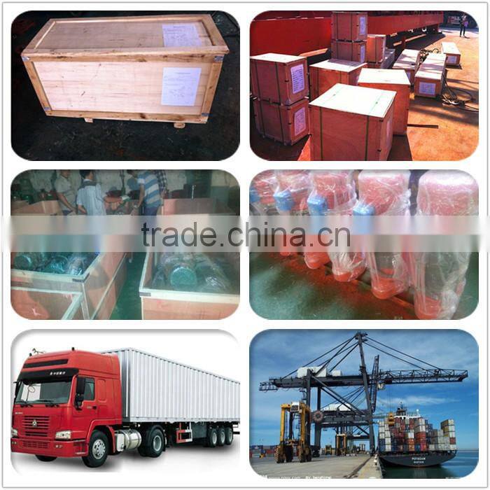 Electric Mini Crane Hoist Crane 300kg