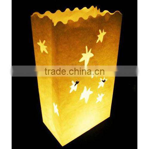 Christmas luminaire candle bags