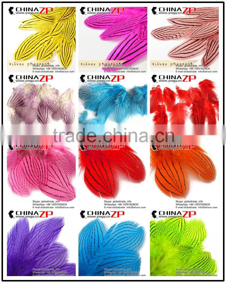 Top Supplier CHINAZP Bulk Sale Good Quality Wonderful Bleached White Long Silver Pheasant Tail Feathers Right