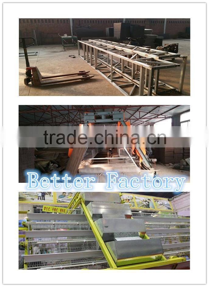 Hot-sale hign quality professional automatic chicken poultry feeding machine