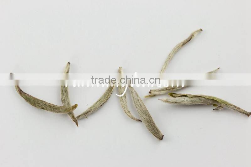 Bai Hao Yin Zhen Silver Needle White Tea