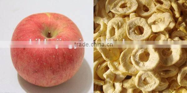 Hot sale cheap price dried apple fruits