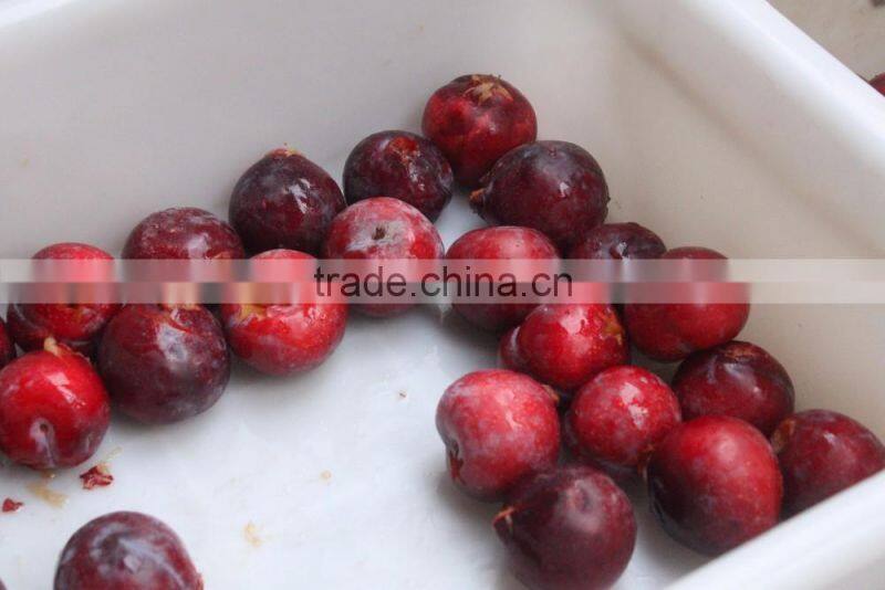 Plum Pitting Pitter Stoner Machine