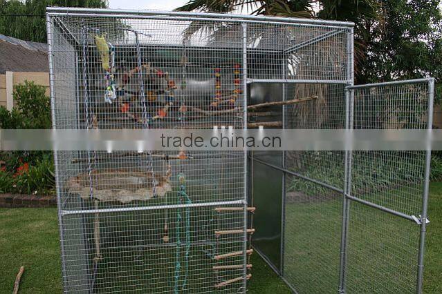 Walk in parrot enclousure cage yard extending from conservatory cat aviary welded run cage