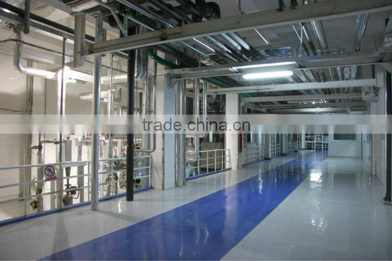 Angel yeast plant, top yeast manufacturer in the world