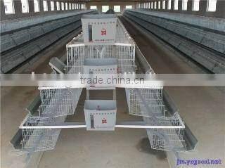 A type Layer Chicken Cage