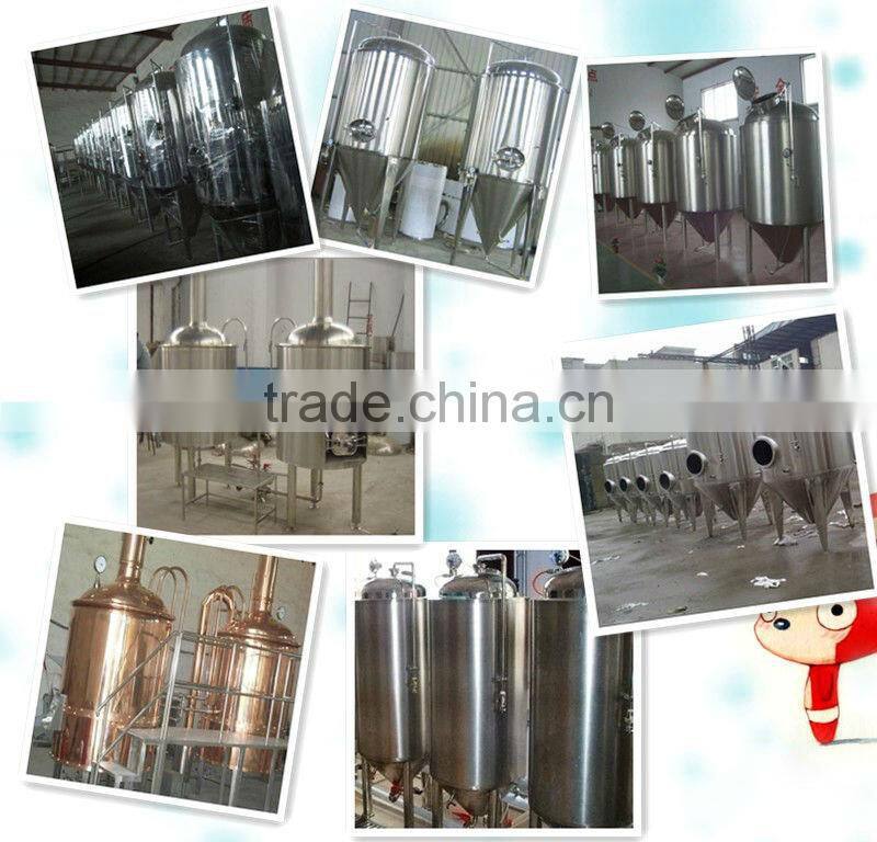 Hot sale of complete beer making equipment