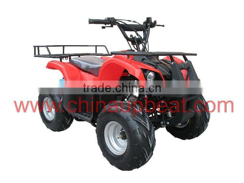 110CC UTILITY ATV WITH UPBEAT BRAND