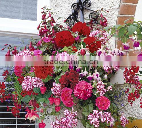 wedding decoration hanging flower planter hanging basket