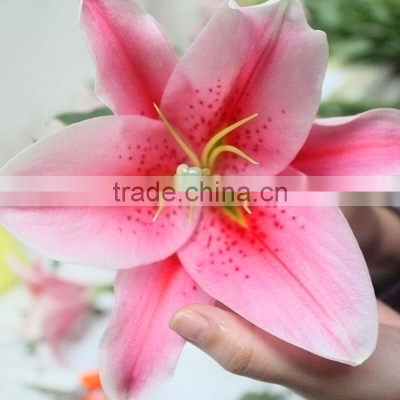 Spray Head Fresh Cut Flower White Lily From YunNan Lilium Flower