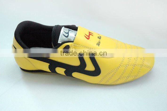kungfu Shoes
