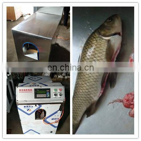 electric fish killing machine high speed fish killing machine stainless steel fish killing machine