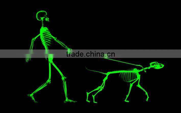 Best selling Fluorescent Home Decor Glow in the dark wall sticker