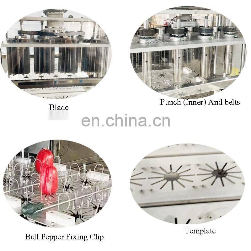 Vegatable Bell Pepper Apricot Apple Cherry Peach Longyan Seed Removing Pitting Cutting Slicing Machine