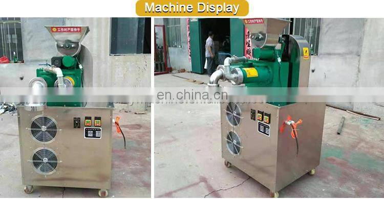 custom design vegetable vermicelli noodle making make machine