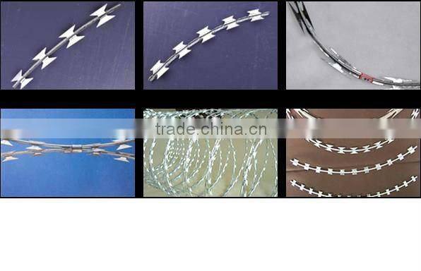 concertina razor barbed wire