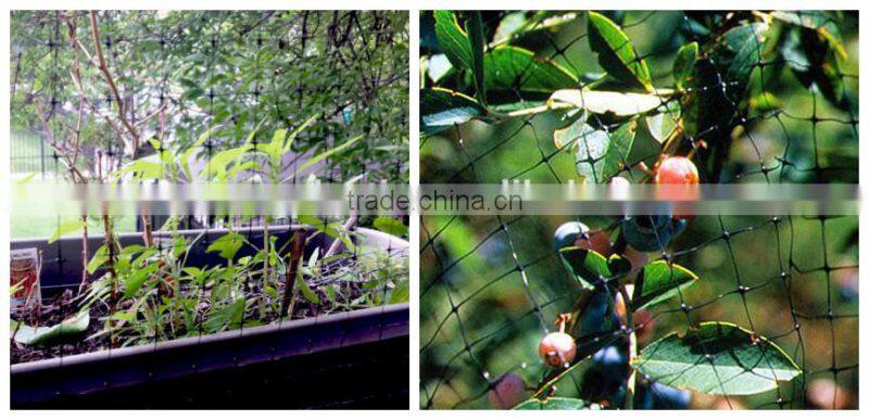 100% original HDPE raw material with UV additives Crop protection anti bird net jaring pelindung tanaman