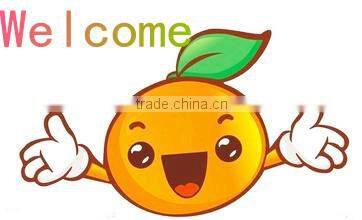 Hidden sony camera 30pcs ir leds 25m ir distance 1/3" sony 960h CCD 800TVL indoor security dome camera