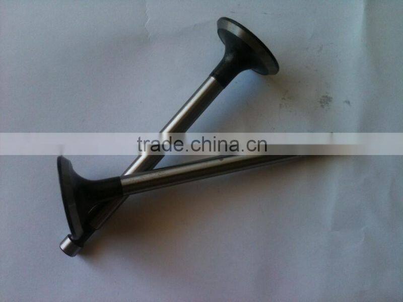 Hebei Factory Farm Tractor Parts Diesel Engine Valve/Valve for Diesel Engine