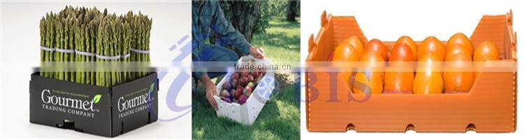 Corrugated High Impact Polypropylene PP Sheet