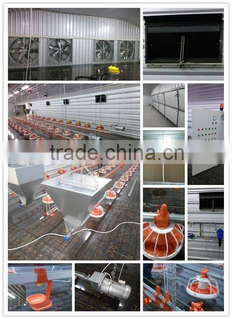 professional high quality broiler poultry farm shed design