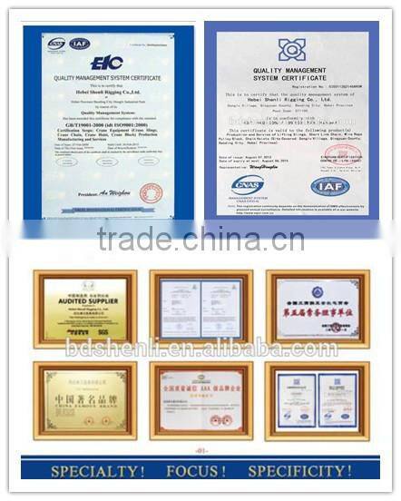 Alloy steel/carbon steel lifting hoist 80G European type connecting link