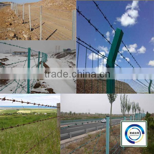Double Stranded and Single Stranded Galvanized Barbed Wire