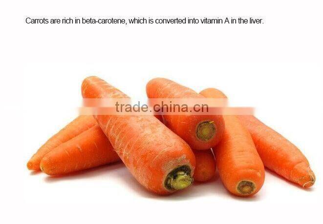 New Fresh Red Carrots carrots from China fresh carrot