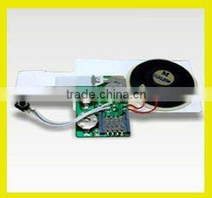 pre-recorded sound module