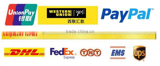 Custom Design Printed Shopping Kraft Paper Bag with your own logo