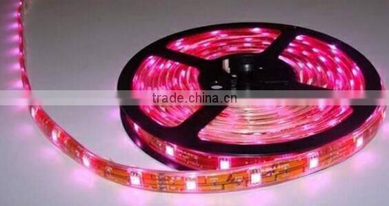 double raw 240leds 3528smd led strip light