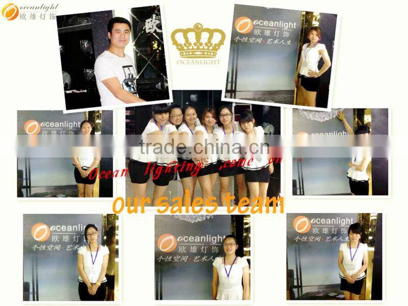 crystal snowflake curtain light OCX026