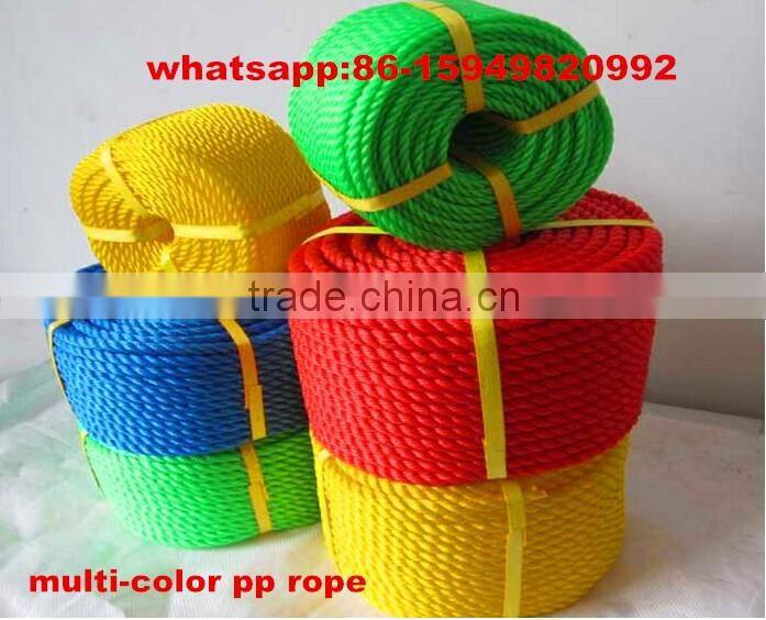 Yellow pp danline rope with black tracer