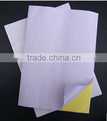 Customized adhesive price sticker label