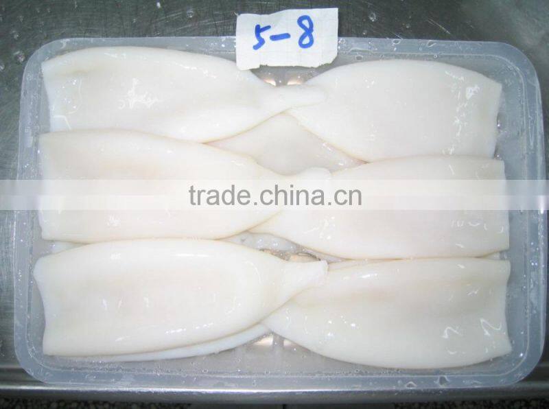 wholesale frozen cleaned squid tube seafood supplier