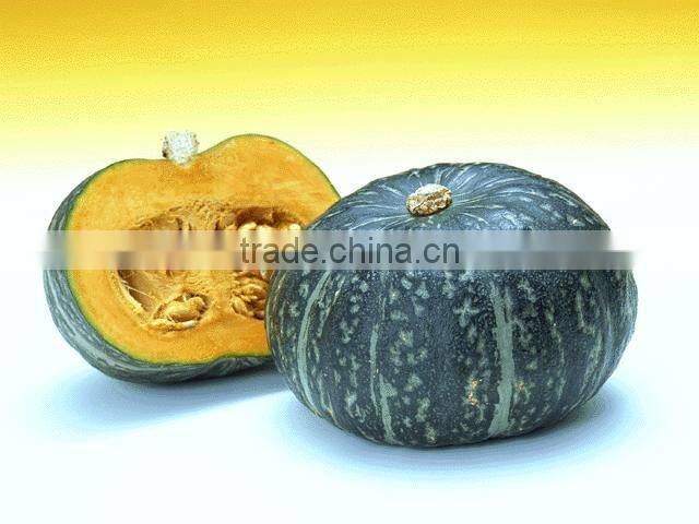 100% pure Pumpkin seed Oil prostate Halal