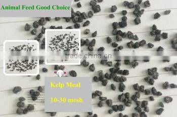 Top Quality Animal Feed Additive Kelp Meal