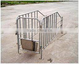 Sow limited crate/ Gestation/stall/pen