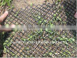 Turf Reinforcement Mesh (China, factory)