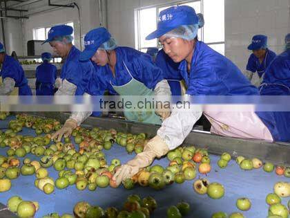 apple juice Full Automatic juice production line
