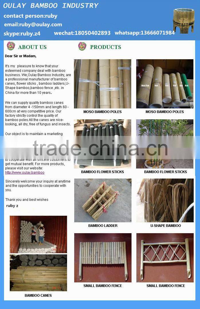 Well-dry straight and round bamboo sticks supplier